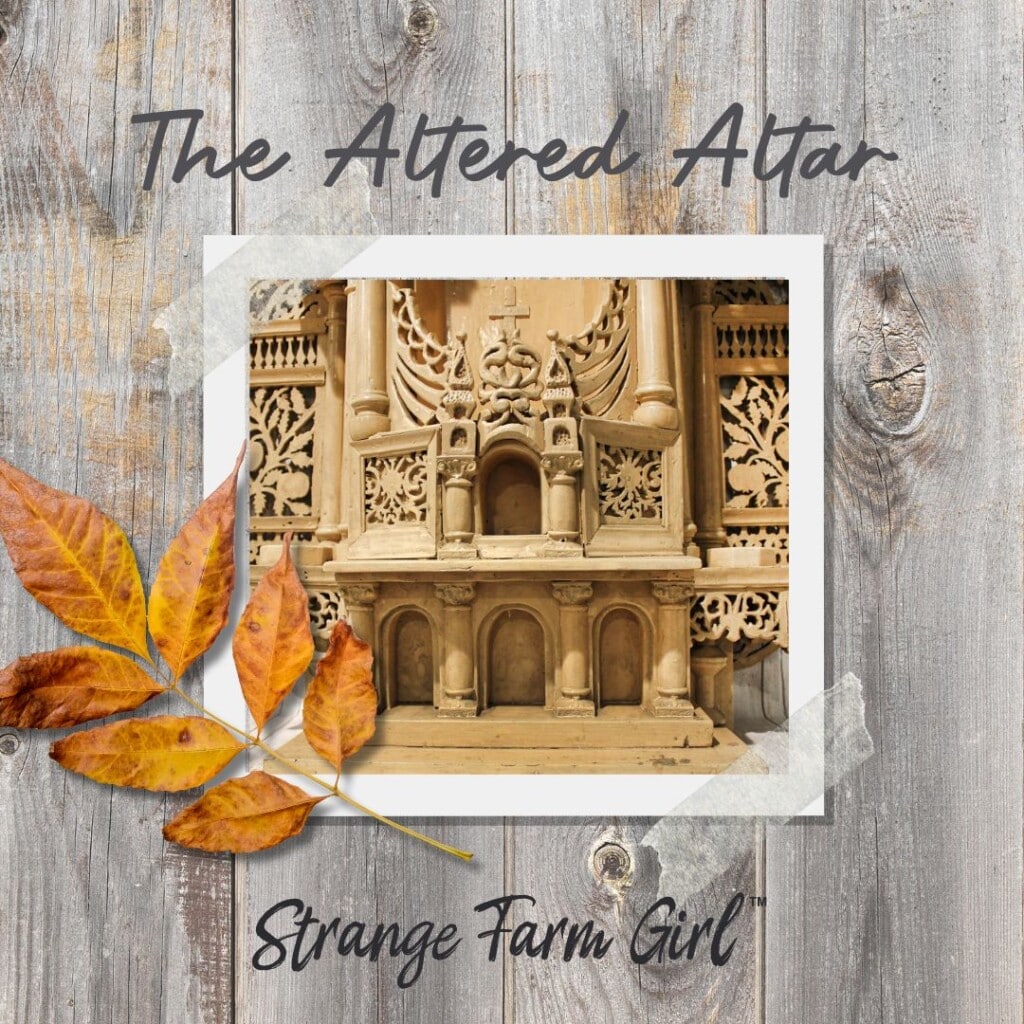 strange farm girl altered altar
