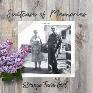 strange farm girl suitcase of memories