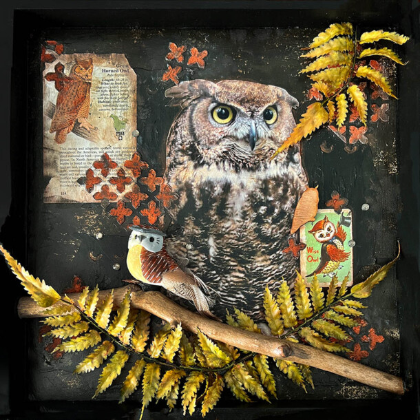 Enchanted Forest Collection