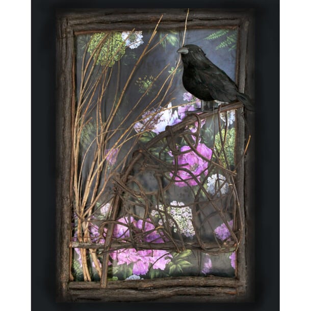 Wicked Plant Raven