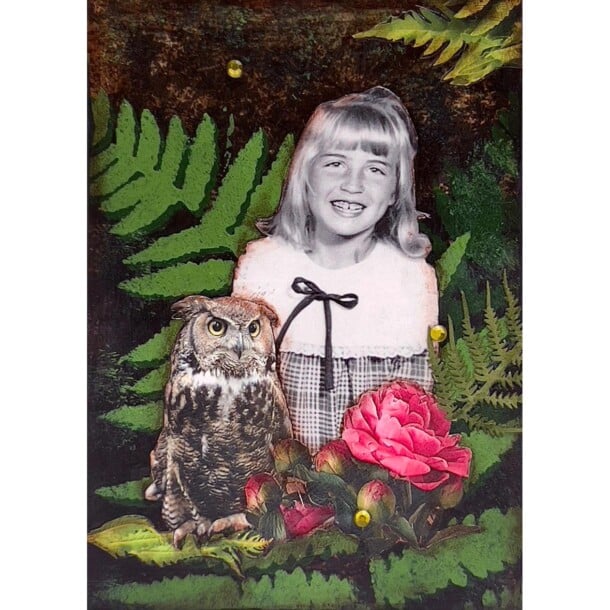 Enchanted Forest - Owl
