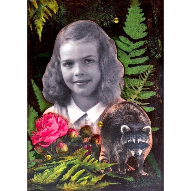 Enchanted Forest - Raccoon