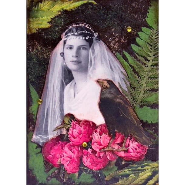 Enchanted Forest - Raven