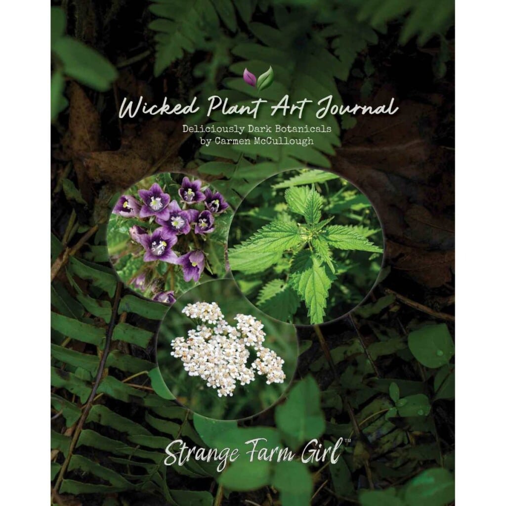 wp journal web_cover