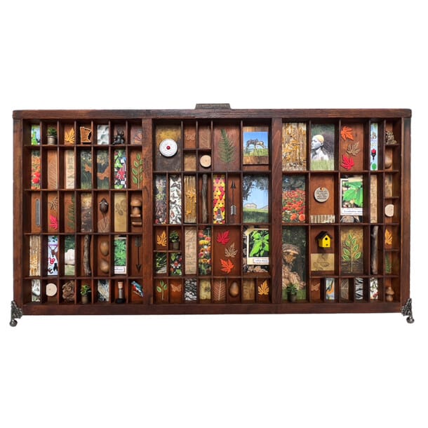 Ortenstone Gardens 2025