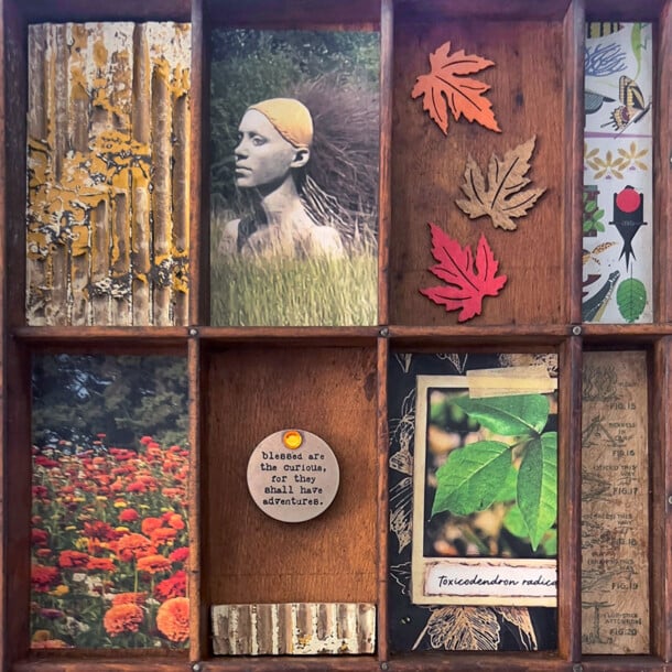 Ortenstone Gardens 2025