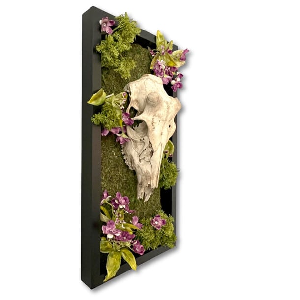Memento Vivere - Deer Skull